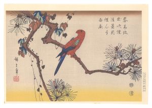 松にインコ【復刻版】　／　広重初代