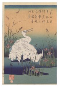 白鷺【復刻版】　／　広重初代