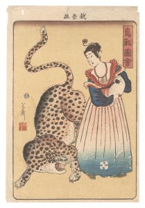 芳盛「鳥獣図会」