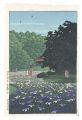 Iris Garden at Meiji Shrine