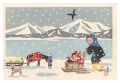 Snow Country (tentative title)