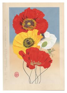 Poppy　／　岩田壮平