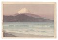 Fuji from Miho