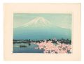 Mount Fuji (tentative title)