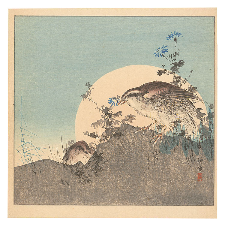 月岡耕漁「月に鶉（仮題）」