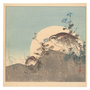 月岡耕漁「月に鶉（仮題）」