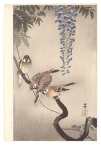 小原古邨（祥邨）「藤に雀（仮題）」
