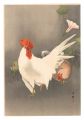 Rooster and Hen (tentative tit......