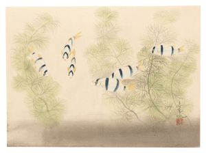 大野麥風「自筆画　魚（仮題）」