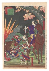 鹿児島戦記　両女勇を振ふて花岡山に官軍と戦血氊をしく　／　児玉弥七