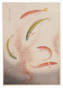 大野麥風「大日本魚類画集　第一輯ノ四　ベラ」