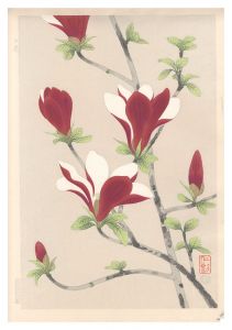 木蓮　／　伊藤仁三郎