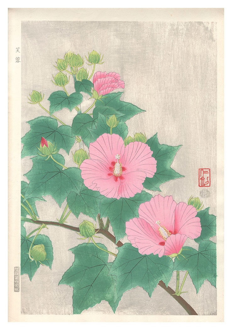 伊藤仁三郎「芙蓉」