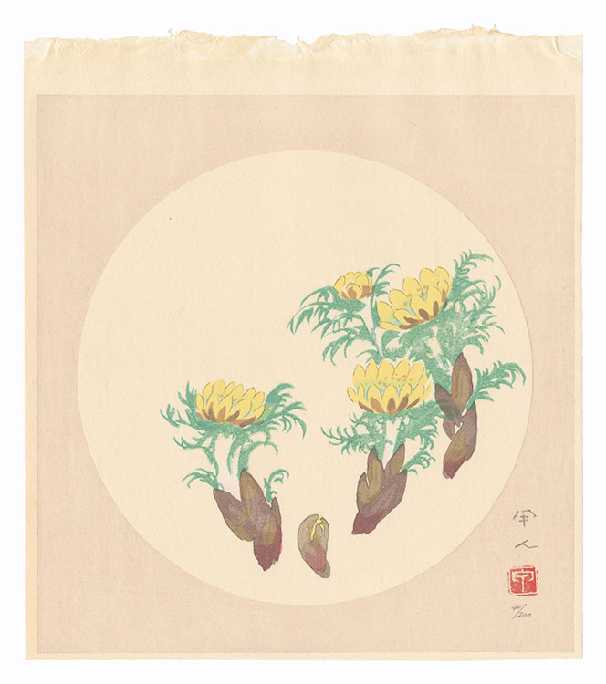 Kudo Kojin “Fukujuso Plant”