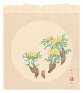 福寿草　／　工藤甲人