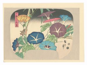 四季の花尽 朝顔【復刻版】 / 広重初代