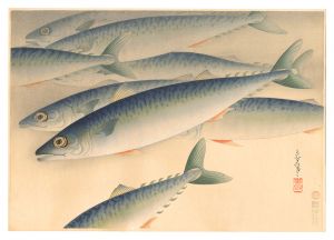 Fish of Japan / No. 4 of Volume 2: Mackerel / Ono Bakufu