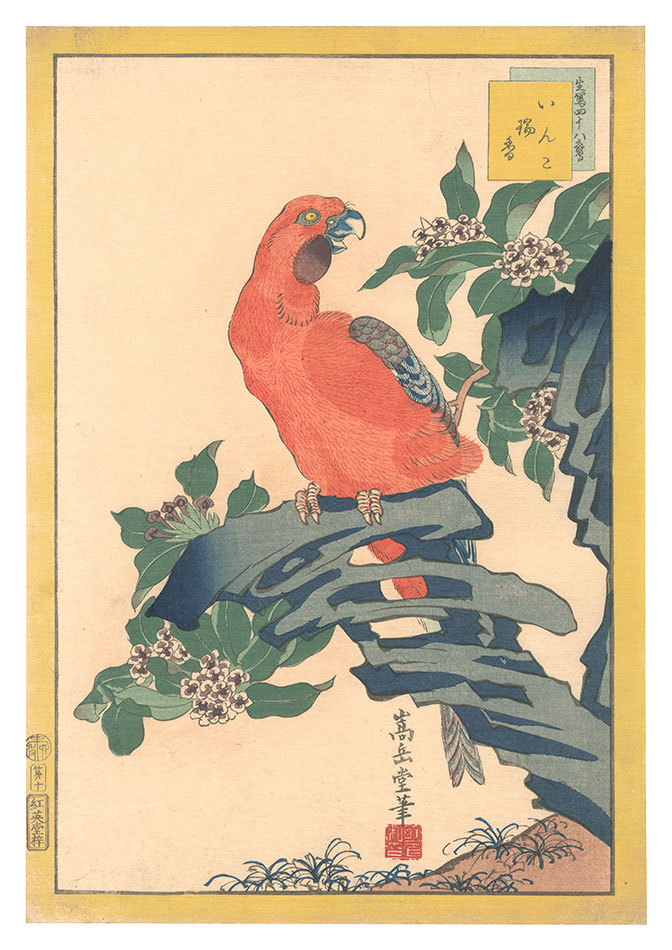 Sugakudo “Forty-eight Hawks Drawn from Life / No. 10: Parakeet and Daphne odora”