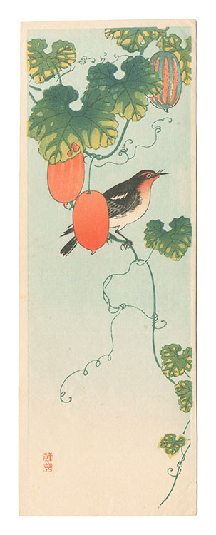 小原古邨（祥邨）「烏瓜に黄鶲（仮題）」