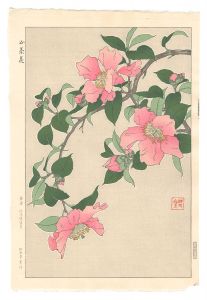 Sasanqua / Kawarazaki Shodo