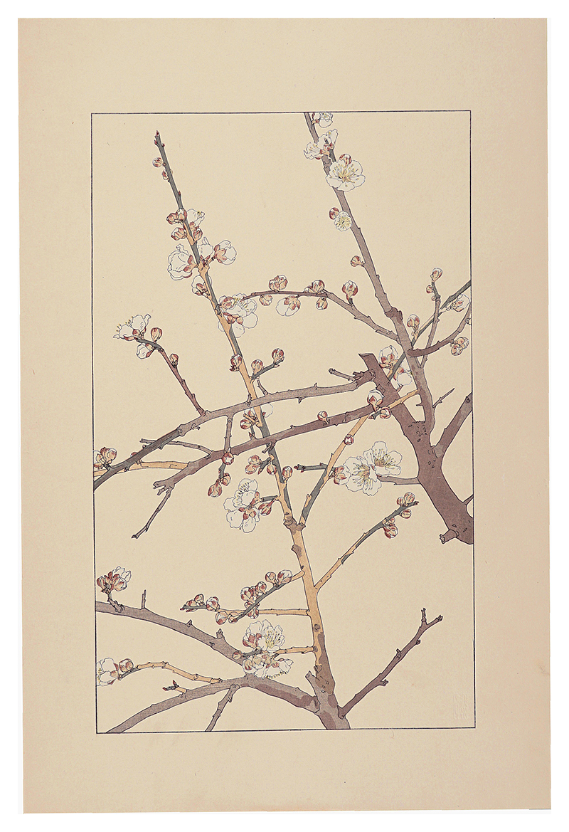 杉浦非水「梅」