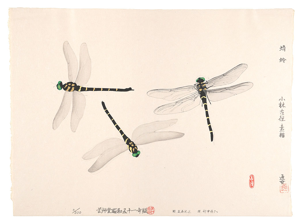 小林古径「蜻蛉」