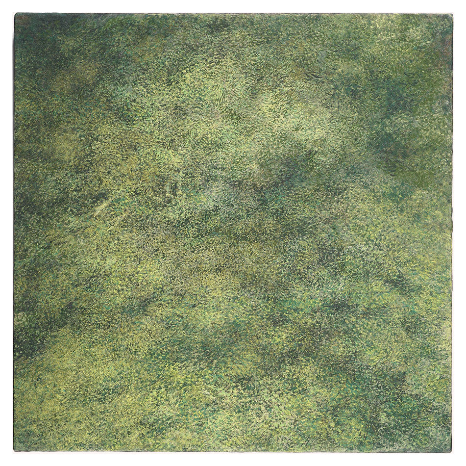 Takada Yoko “Piece01 A Piece of Forest”