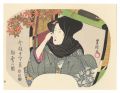 Fan Prints :The twelve months ......