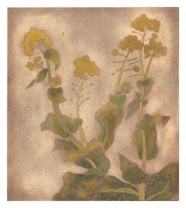 <strong>Nagase Yoshiro</strong><br>Title unknown