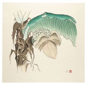 実芭蕉　／　牧進