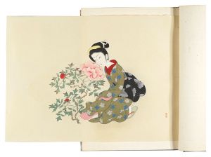 Komura Settai Painting Collection / Written by Komura Yae, Edited by Yamamoto Takeo