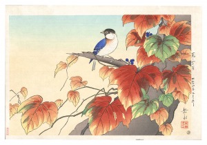 蔦に四十雀　／　井出岳水