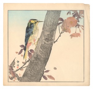 Birds and Flower / Seiko