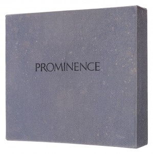｢銅版画集 PROMINENCE／プロミネンス｣山村昌明