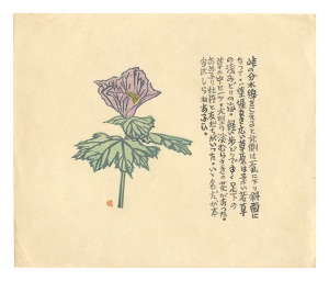 作品（あめふり牡丹）　／　前川千帆