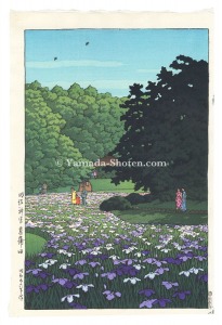明治神宮菖蒲田