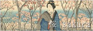 桜 Sakura
